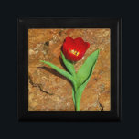Gult och rött tunp minnesask<br><div class="desc">Vår Red Tulip, mot ett brunt sten vid Sjö Arrowhad. Foto av Sandy Closs. Påsk, blommigt, rödblommor, Vår, valentin, valentineser, bröllop, bröllop, Alla hjärtans dagar</div>