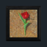 gult och rött tunp smyckeskrin<br><div class="desc">Vår gult och Röda Tulip,  bruna sten vid Sjö Arrowhad. Foto av Sandy Closs. Påsk,  blommigt,  rödblommor,  Vår,  valentin,  valentineser,  bröllop,  bröllop,  Alla hjärtans dagar</div>