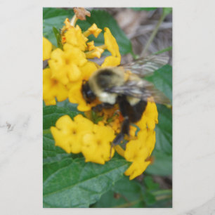 gult och svart bi på gult blomma brevpapper