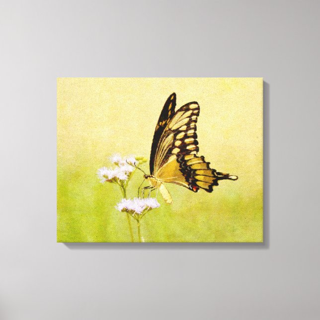 Gult och svart Butterfly Wildblomskonst Canvastryck (Framsida)