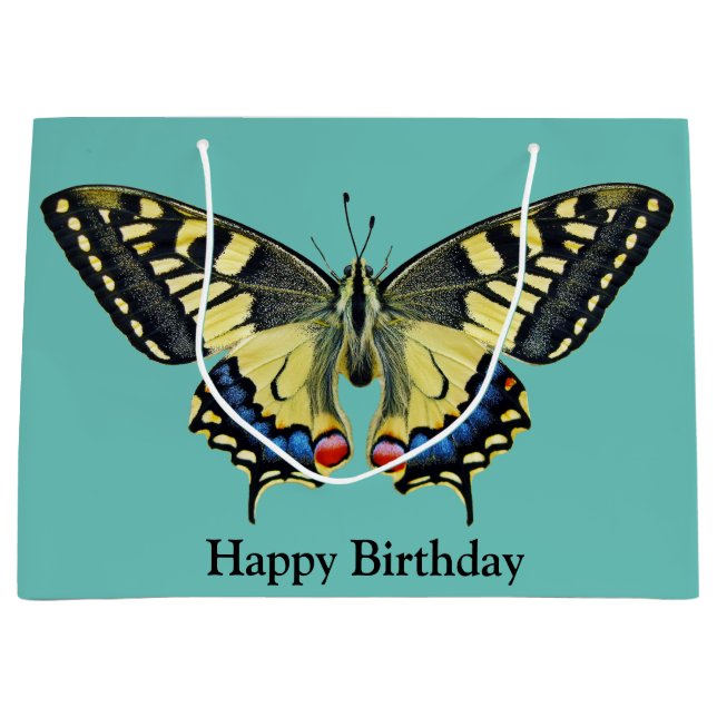 Gult och svart fjäril (Framsidan)