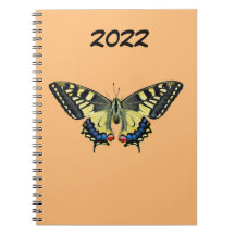 Gult och svart fjäril