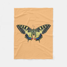 Gult och svart fjäril