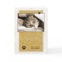 Gult och svart förlust av fettansättningssymtom