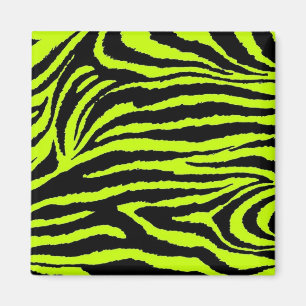Gult och Svarta Zebra Magnet
