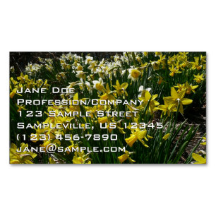 Gult och vit affodil Vår blommor Magnetiska Visitkort
