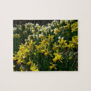 Gult och vit affodil Vår blommor Pussel