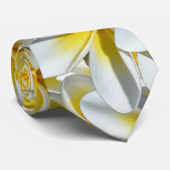 Gult och vit Frangipanis. Slips (Rullad)