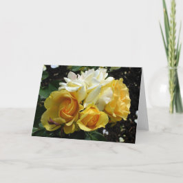 Gult och Vit ros Kort