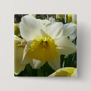 Gult och Vita Daffodil Vår Blommigt Knapp