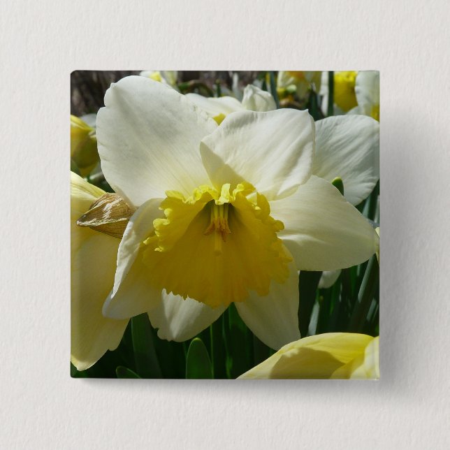 Gult och Vita Daffodil Vår Blommigt Knapp (Framsida)