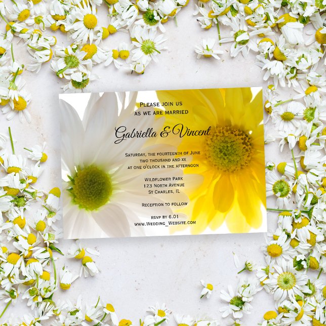 Gult och vita Daisy Bröllop Inbjudningar (Invite guests to your summery marriage with the pretty Yellow and White Daisies Wedding Invitation.)