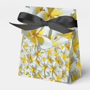 Gult och vita frangipani Flowers. Presentaskar