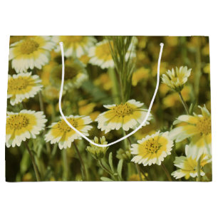Gult och vitblommor