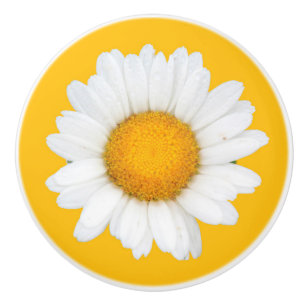 Gult- och vitdaisy knopp