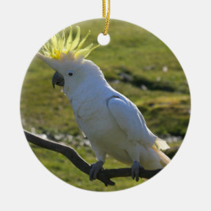 Gult- och vitkakaduapapegoja julgransprydnad keramik