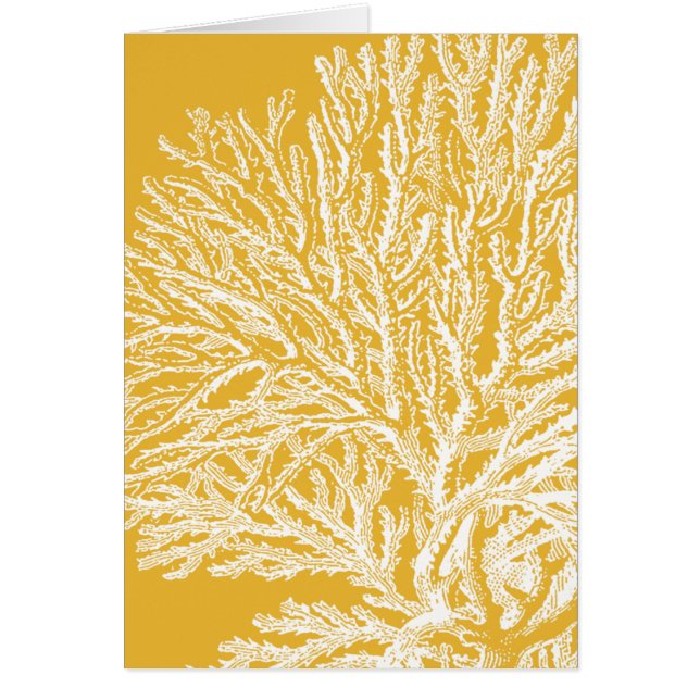 Gult och vitkorall hälsningskort (Framsidan)