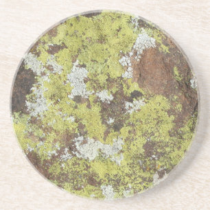 Gult- och vitlav på sandsten naturliga Camo Underlägg Sandsten