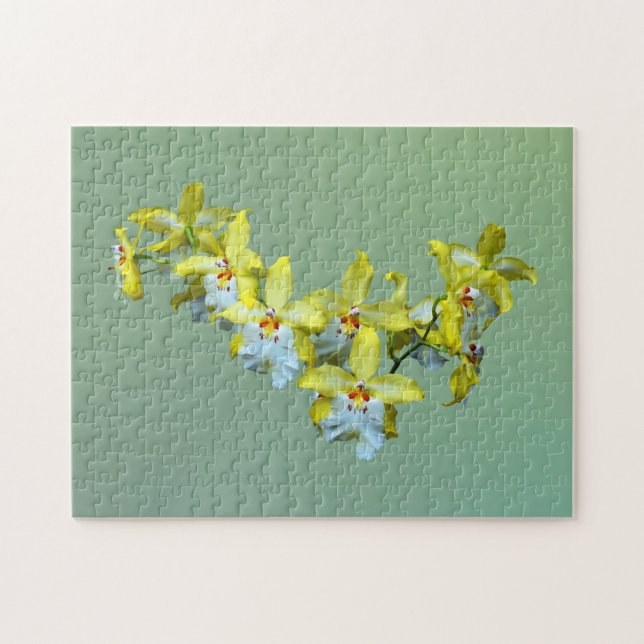 Gult och vitt Vuylstekeara Orchids Heart Pussel (Horisontell)
