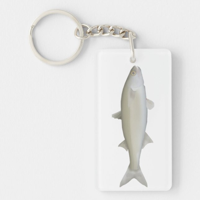 Gult Öga Mullet (Framsidan)