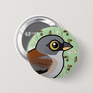 Gult-ögd Junco Knapp