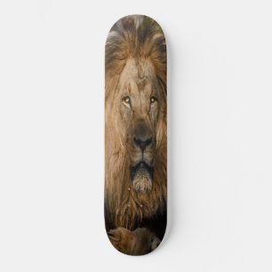 GULT ÖGON lejonare Mini Skateboard Bräda 18,5 Cm