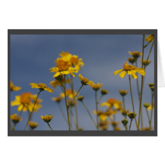 Gult ökenblomma hälsningskort