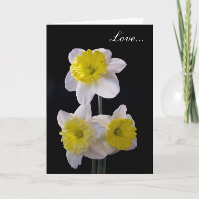 Gult om vita Daffodil Valentine Helgkort (Framsida)