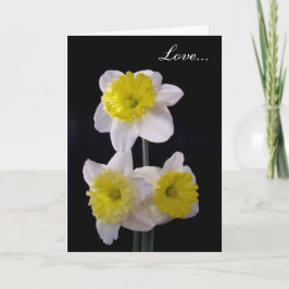 Gult om vita Daffodil Valentine Helgkort