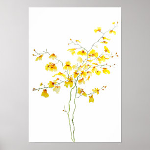 gult Oncidium Orchid vattenfärg Poster