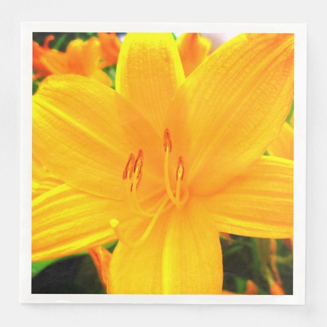 Gult Orange Day Lilies Sunny Garden Flowers Pappersservett (Framsida)