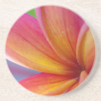Gult Orange Djup Rosa Tropical Plumeria Flower Underlägg Sandsten