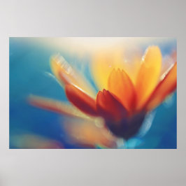 Gult Orange Marigold Flower on Blue Poster