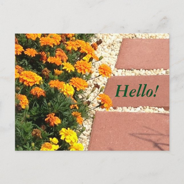 Gult Orange Marigold Flowers Postcards Vykort (Framsida)