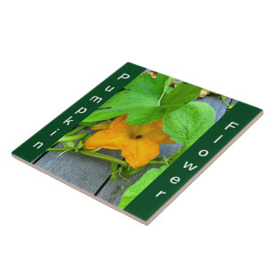 Gult Orange Pumpkin Flower på vinet Kakelplatta