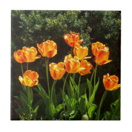 Gult Orange Tulips-panel Kakelplatta
