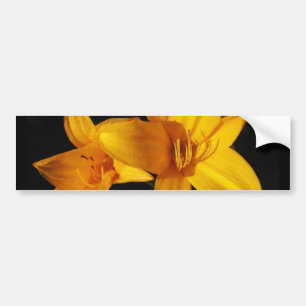 Gult Orchid Bildekal