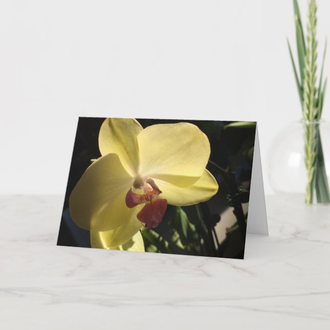 Gult Orchid Blank Inside Greeting Card Kort (Framsida)