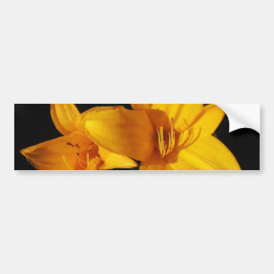 Gult Orchid Bumper Sticker Bildekal