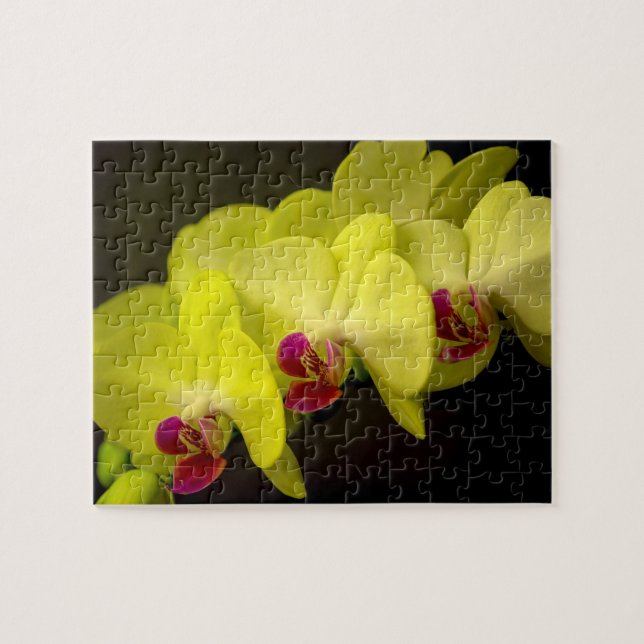 Gult Orchid - Fotopussel (Horisontell)