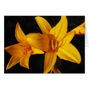 Gult Orchid Hälsningskort