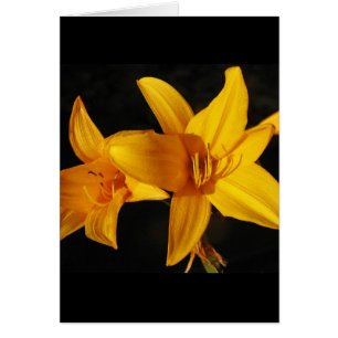 Gult Orchid Hälsningskort