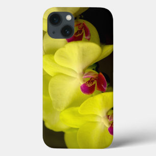 Gult Orchid - iPad Case