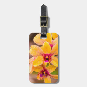 Gult Orchid, Lawai, Kauai, Hawaii Bagagebricka