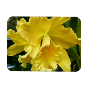 Gult Orchid Magnet