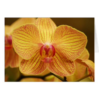 Gult Orchid med Rosa Rand Hälsningskort