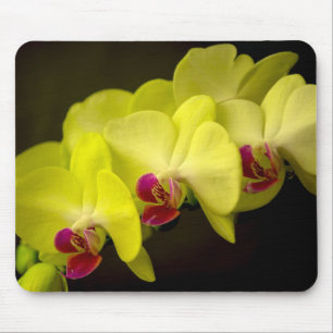 Gult Orchid - Mousepad Musmatta
