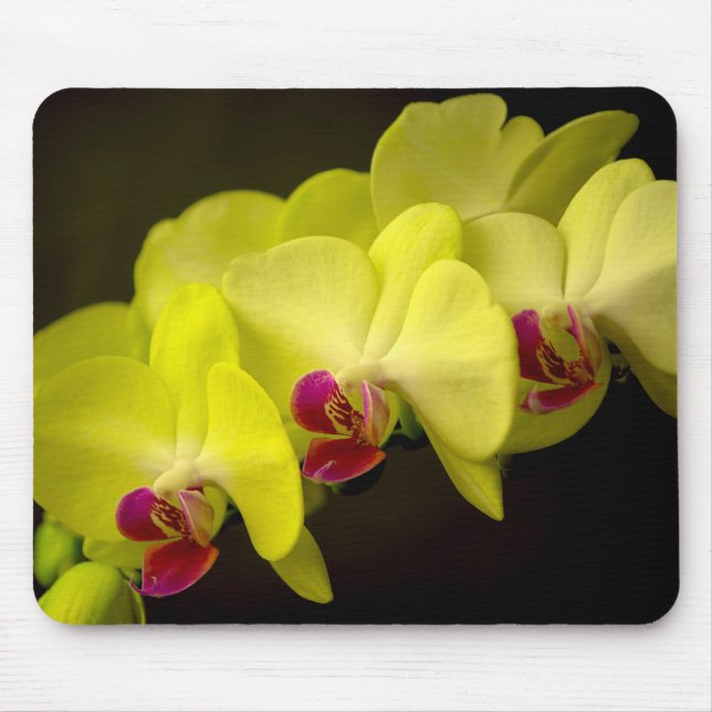 Gult Orchid - Mousepad Musmatta (Framsidan)