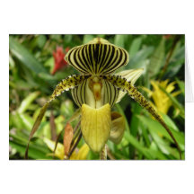 Gult Orchidblommakort