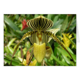 Gult Orchidblommakort OBS Kort